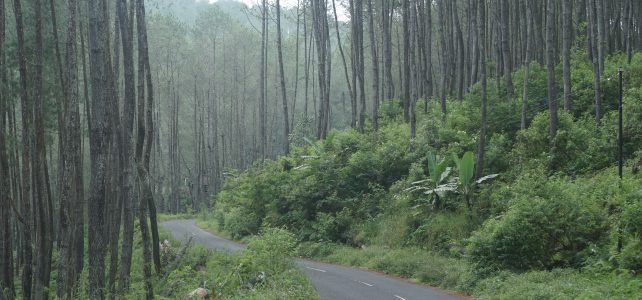 Drag and Drog Responsive WordPress Theme